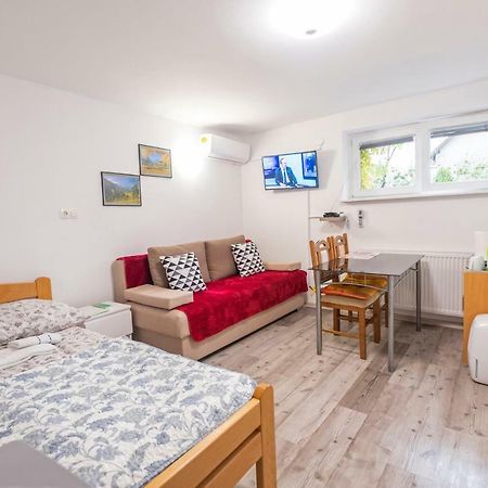 Newly Renovated Studio With Air Conditioner & Free Parking Ljubljana Exterior photo